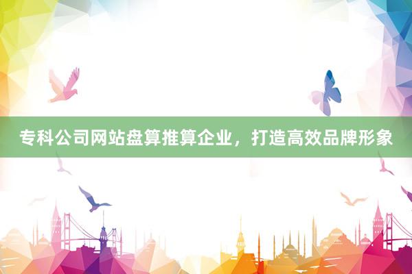 专科公司网站盘算推算企业，打造高效品牌形象