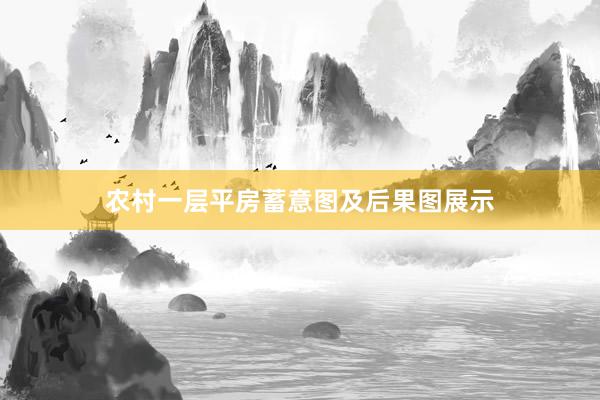 农村一层平房蓄意图及后果图展示