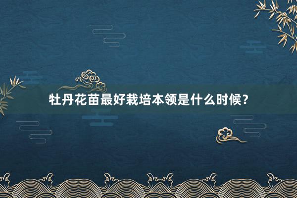 牡丹花苗最好栽培本领是什么时候?
