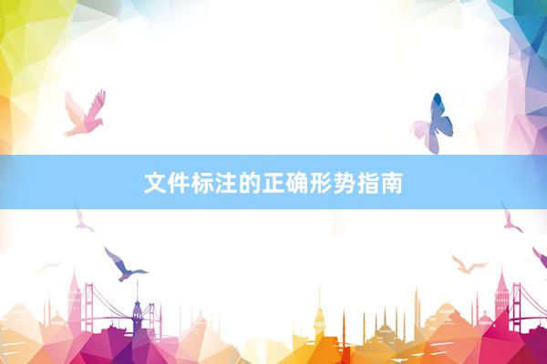 文件标注的正确形势指南